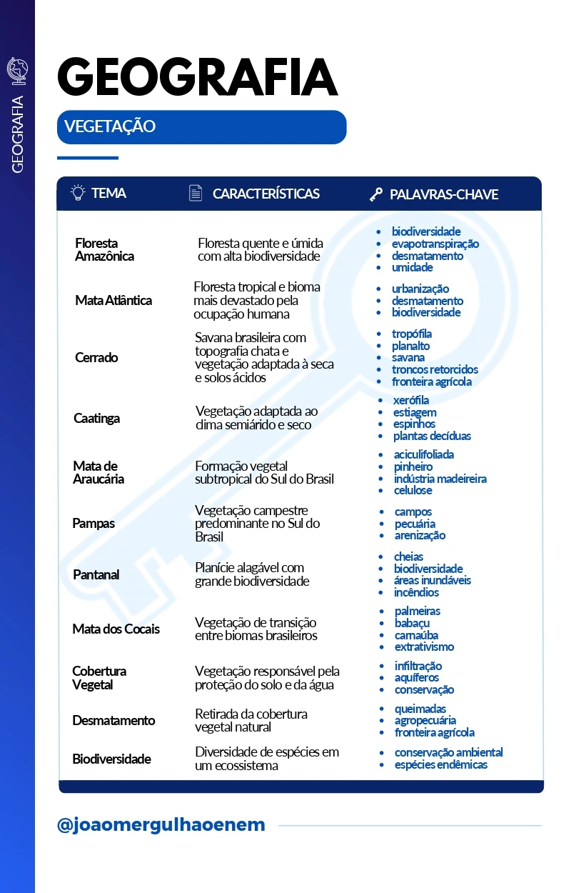 Palavras-Chave · Linguagens